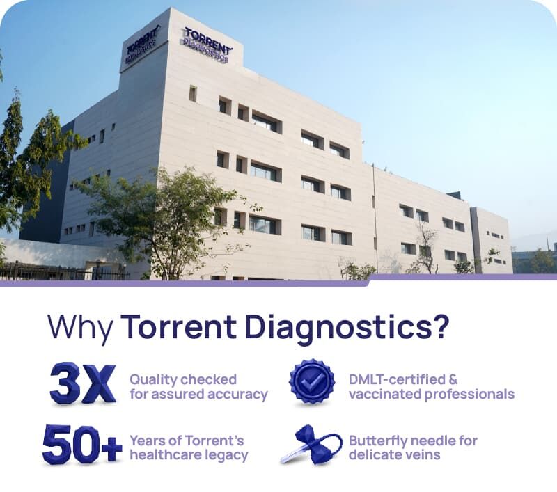 Why Torrent Diagnostics Banner
